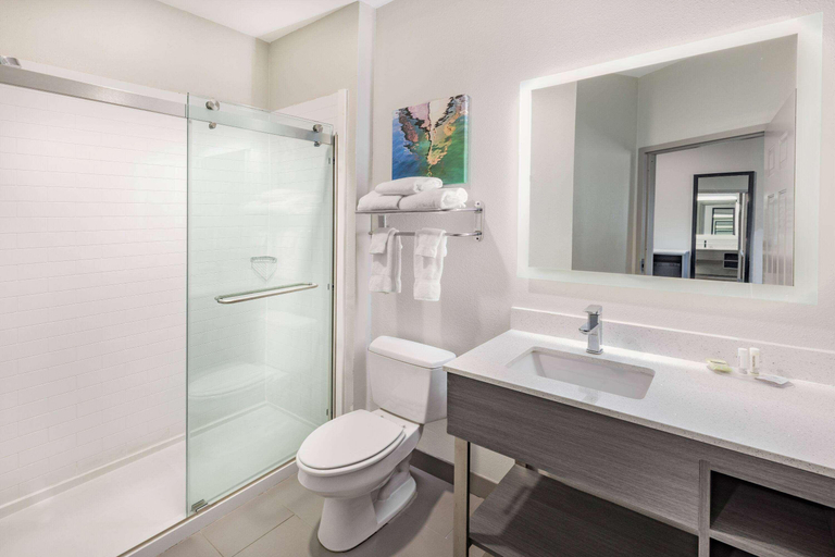 Bathroom 5, La Quinta Inn & Suites By Wyndham Ardmore, Carter