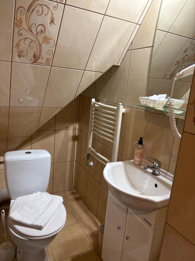 Bathroom 2, Pokoje Goscinne "U Elzbiety" 2 z basenem i jacuzzi, Tatra