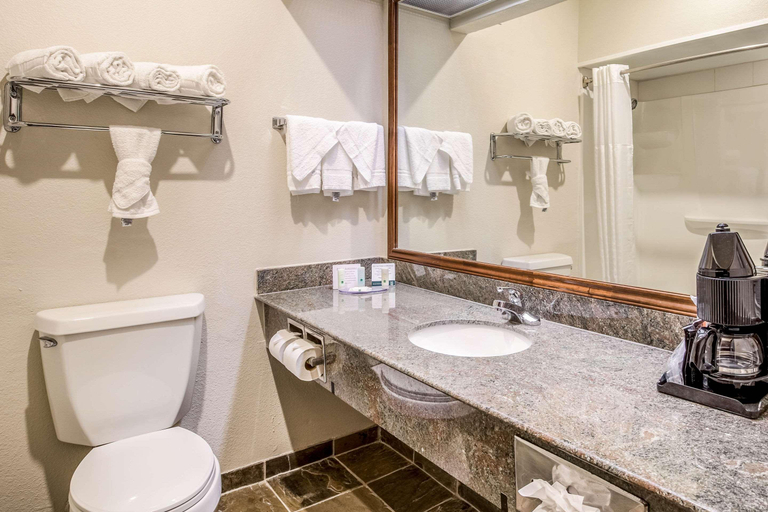 Bathroom 4, Quality Inn & Suites Seabrook- Nasa- Kemah, Houston