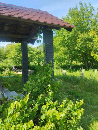3, Summer house in Belgrade, Belgrade