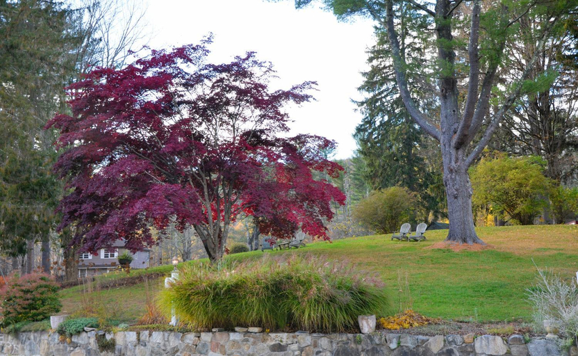 4, Cornwall Inn, Litchfield