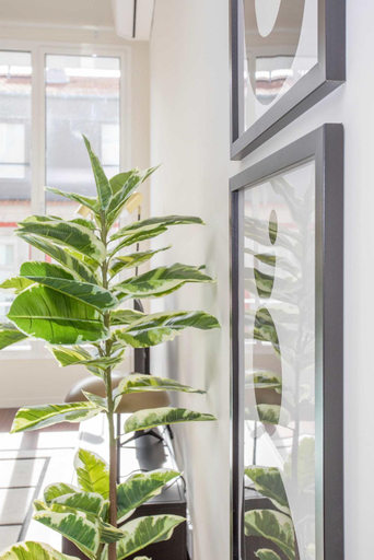 5, Liiiving in Porto - Luxury Gallery Apartment II, Porto