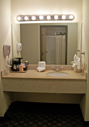 Bathroom 4, The Branson Waterpark Hotel, Taney
