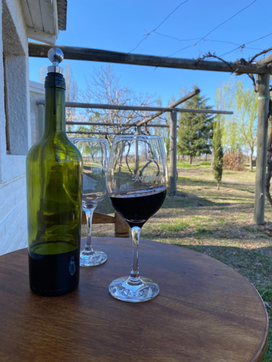 Food & Drinks 3, Finca La Pichona, Tupungato