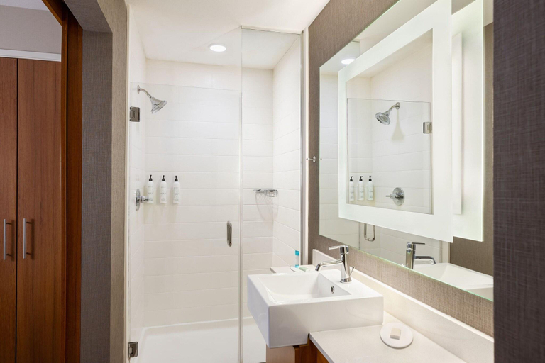 Bathroom 4, Springhill Suites Wisconsin Dells, Sauk