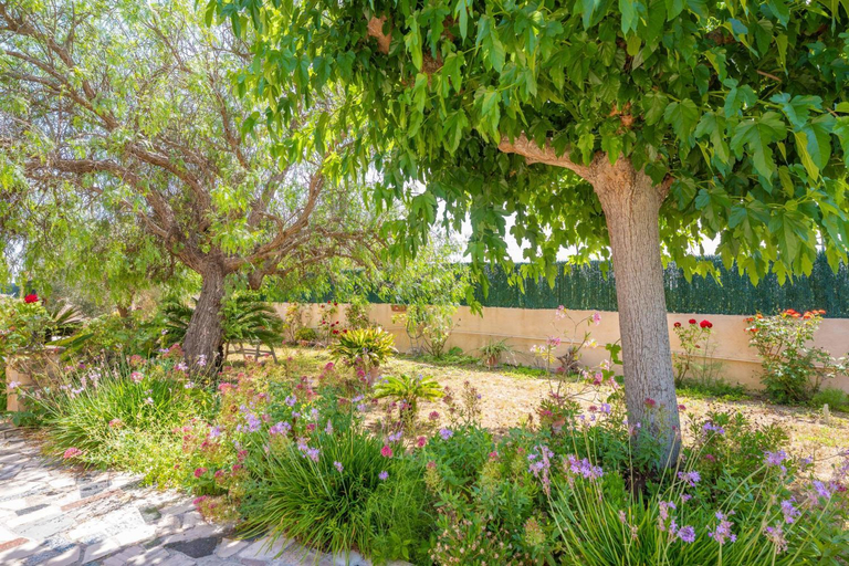 Facilities 2, VILLA FERNANDO, Baleares
