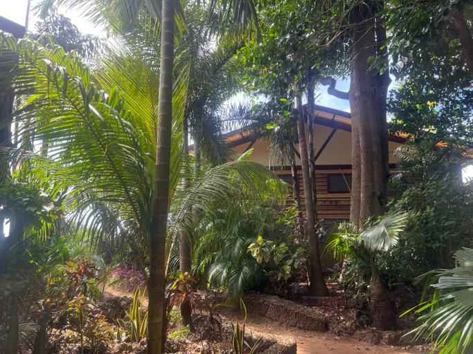 Others 5, Jungle of Peace Guesthouse, San Juan