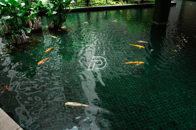 Others 5, Infinity Pool Dorms KLCC View by Regalia, Kuala Lumpur