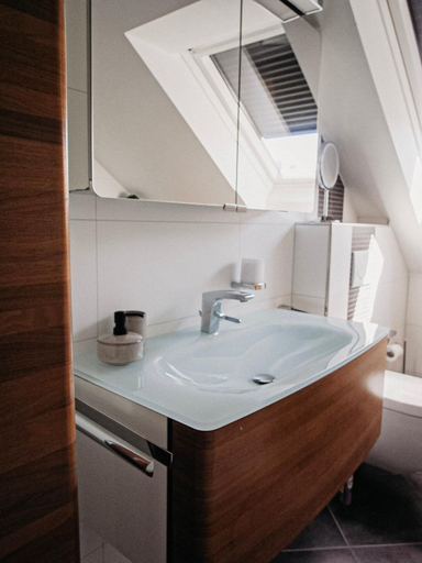 Bathroom 3, Roudenhaff Guestfarm, Echternach