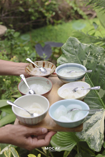 Food & Drinks, MOCAY farmstay, Mỏ Cày