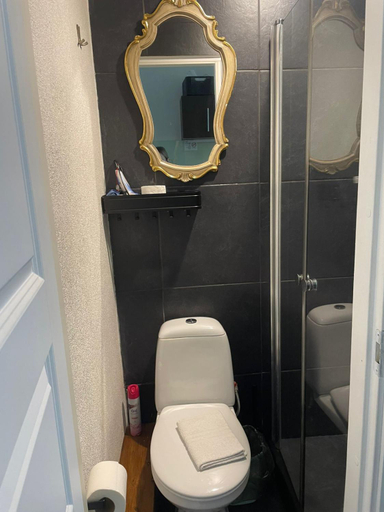Bathroom 3, Studio Apartment✨, Klaipėdos