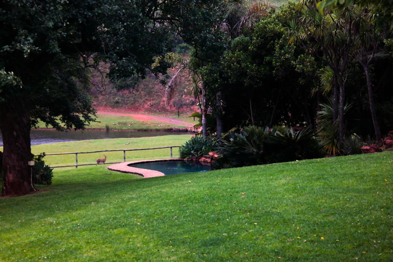 Others 5, Nooitgedacht Trout Lodge, Ehlanzeni