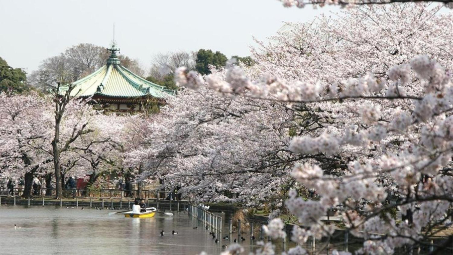 Others 4, UENO station 7min on foot/Cozy Apartment/Convenient location, Taitō