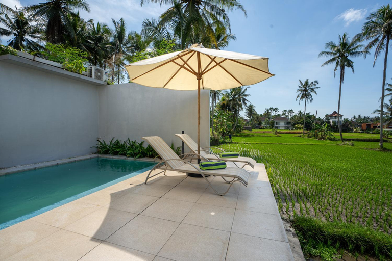 Sport & Beauty 2, Luxury Villa Ada Padi Ubud one bed room, Gianyar