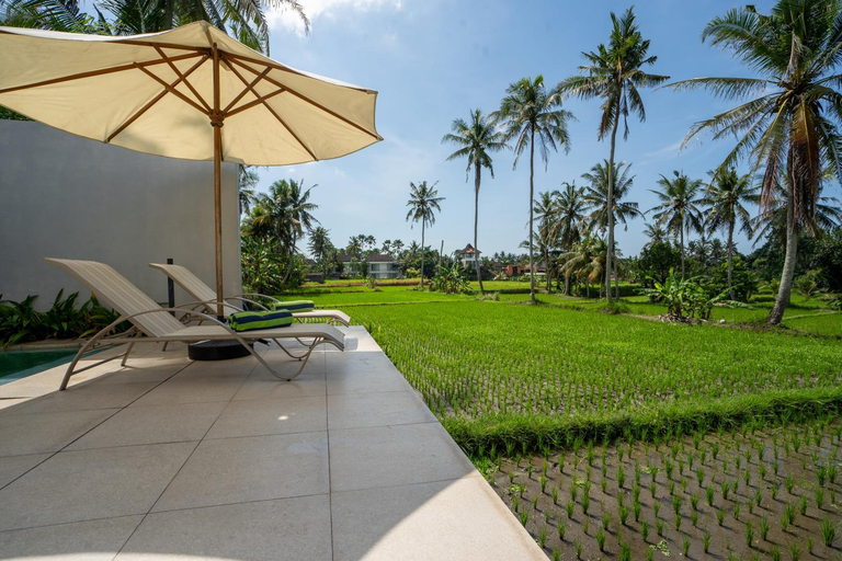 Others 4, Luxury Villa Ada Padi Ubud one bed room, Gianyar