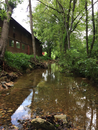 Exterior & Views 2, The Sugar Creek Retreat, Benton