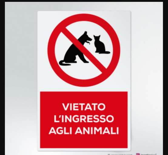 Others 3, Roberto, Casale Vita Nova, Grosseto