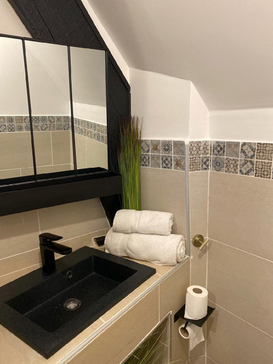 Bathroom 3, Chateau de Saint-Genix, Savoie