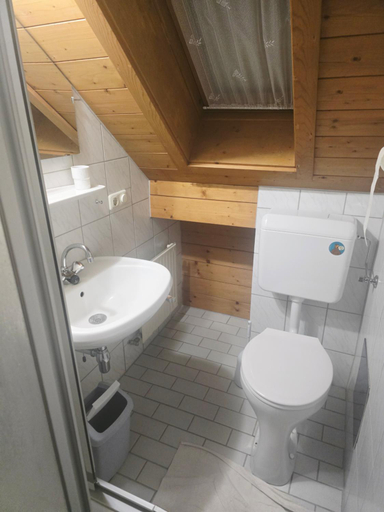Bathroom 2, Gastehaus Deisl, Tamsweg