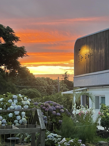 Exterior & Views 4, Preeria studio pension, Jeju