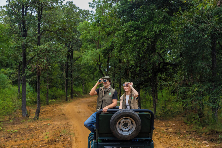 Safari 4, The Forest Chapter By Sayaji Madhai, Hoshangabad