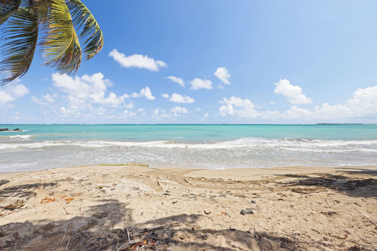 Beach 2, Golden Beach by Otium