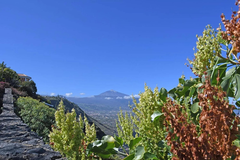 View from property 2, Holiday Home in Tenerife With Private Garden, Santa Cruz de Tenerife