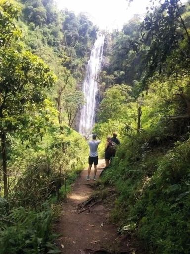 Hiking 2, Kilimanjaro Pazuri Villas, Moshi Urban