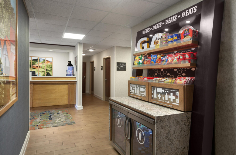 Food & Drinks 5, Hampton Inn Helen, White