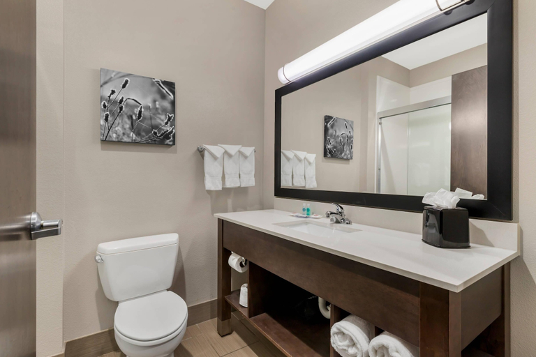Bathroom 4, Comfort Inn & Suites, Rogers