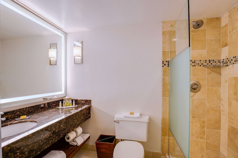 Bathroom 3, DoubleTree Suites by Hilton Htl & Conf Cntr Downers Grove, Dupage