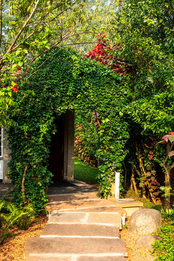 Room 4, Sanctuary Amaidiyana CGH Earth, Viluppuram
