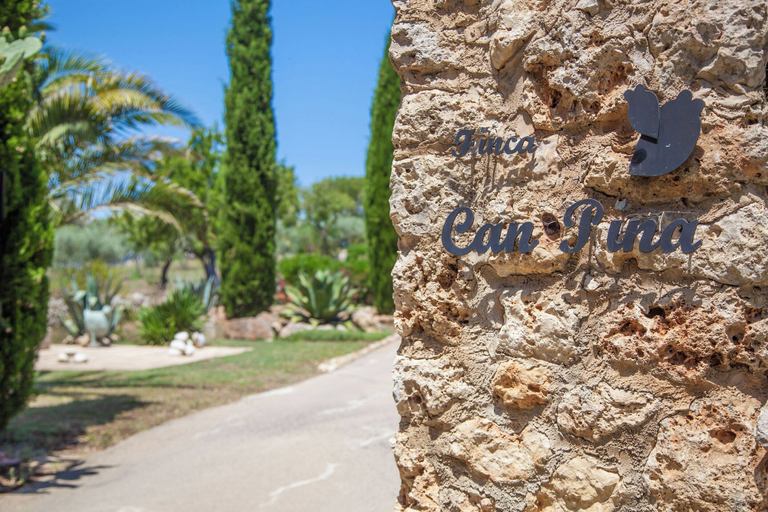 Others 4, Can Pina - Eco Arco - - Apartment In Costitx, Baleares