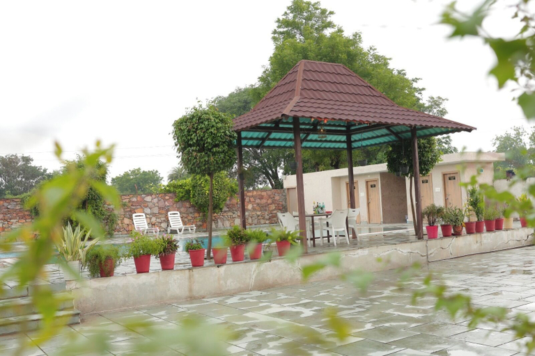 Outdoor dining 3, New Royal Orbit Hotel & Restro Udaipur, Udaipur