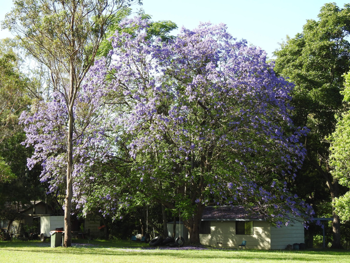 Miscellaneous 2, The Mount Seaview Resort, Port Macquarie-Hastings - Pt B