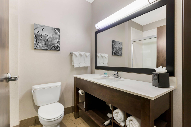 Bathroom 5, Comfort Inn & Suites, Rogers