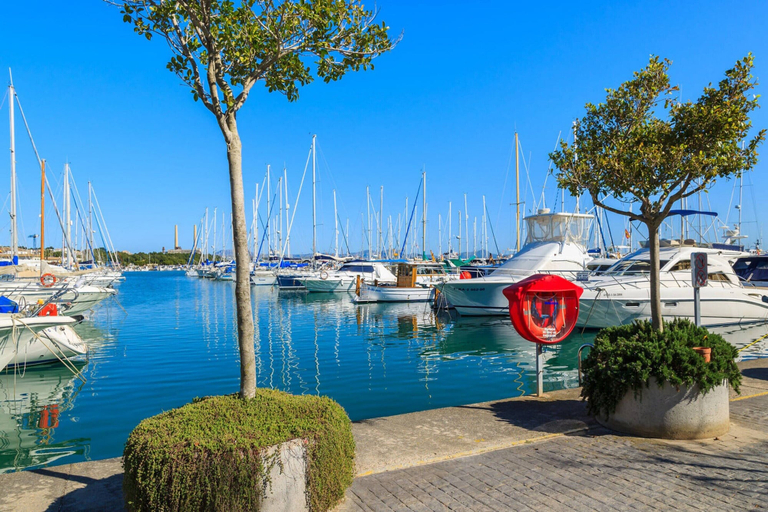 View from property 3, Sea-view Apartment in Alcudia With Balcony, Baleares