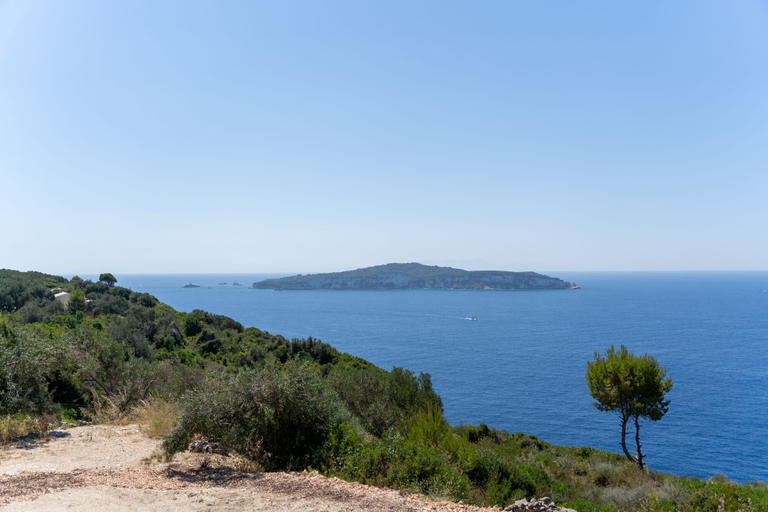Room 5, Areti-elena Oxomeria, Ionian Islands