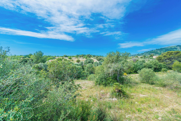 Others 5, Can Canals - Villa With Private Pool In Arta, Baleares