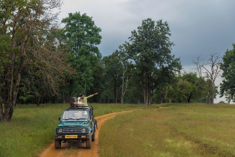 Safari 3, The Forest Chapter By Sayaji Madhai, Hoshangabad