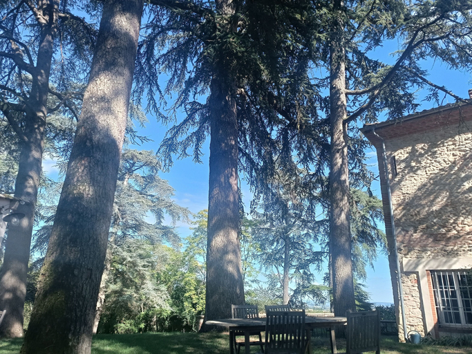 Exterior & Views 2, Le Jardin Des Cèdres, Tarn