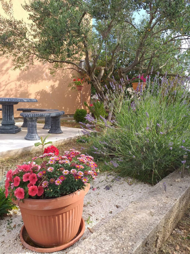 Garden 3, Cozy Countryside Apartment in Bristane, Drniš