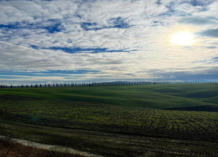 View from property 4, Group Retreat With Garden in Tuscany, Siena