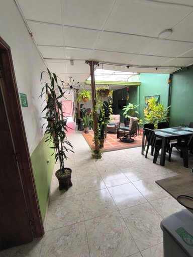 Interior 5, Oliva's House, Jardín