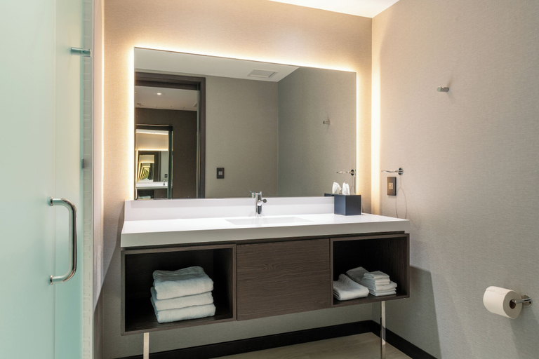 Bathroom 4, AC Hotel Burlington, Chittenden
