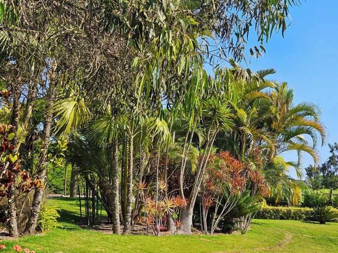 Room 4, w Spacious 4BR Country House w Pool in Mala, Cañete