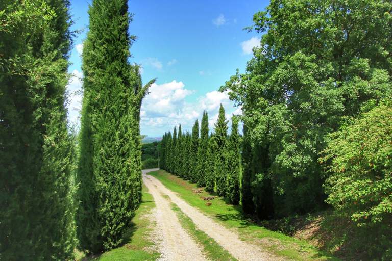 View from property 5, Farmhouse in Val D'orcia Charm, Siena