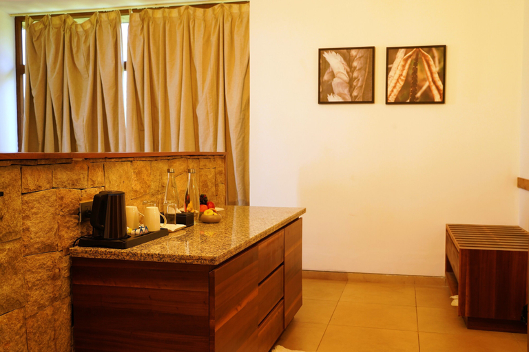 Interior, Sila Sonerila, Chikmagalur