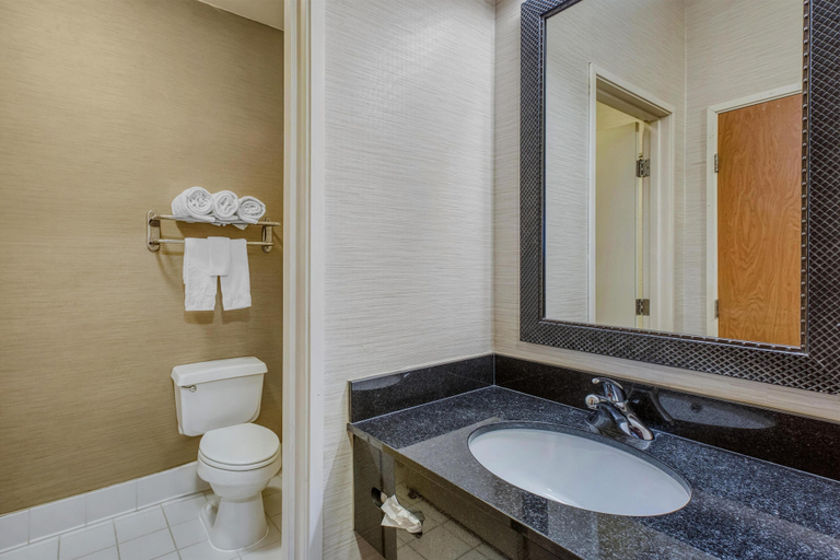 Bathroom 3, SureStay by Best Western Mount Pleasant Racine, Racine