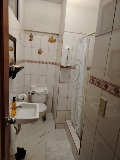 Bathroom 5, Terraza de daysi, León